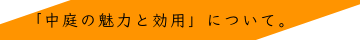 「中庭の魅力と効用」について