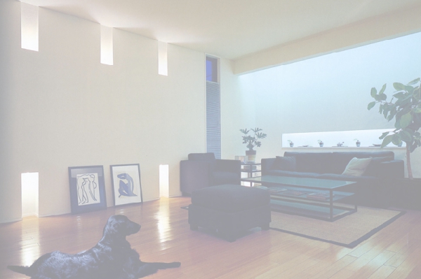 中庭のある狭小住宅