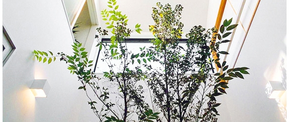 設計ポリシー 3つの「い」