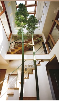 中庭を通して気配が分り、声も届く住まい