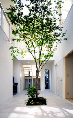 中庭の緑が暮らしに豊かさとうるおいを生む