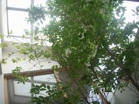 地球温暖化や環境への配慮した住まい