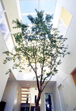 国の助成金・補助金