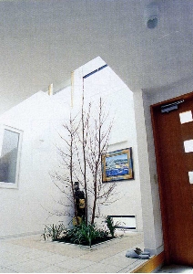 住まいに光や風など自然の恵みを上手に利用